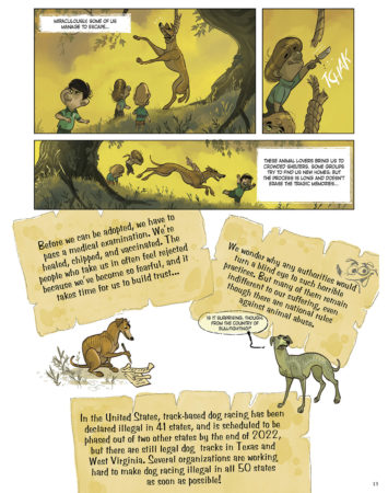 LETTERS FROM ANIMALS_INT_p13